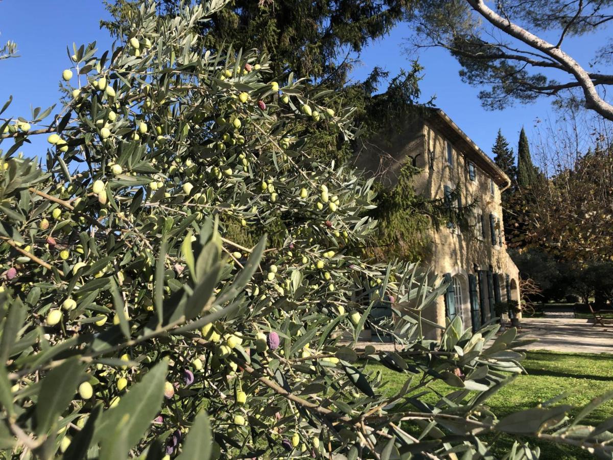 Desir De Provence Panzió Sarrians Kültér fotó